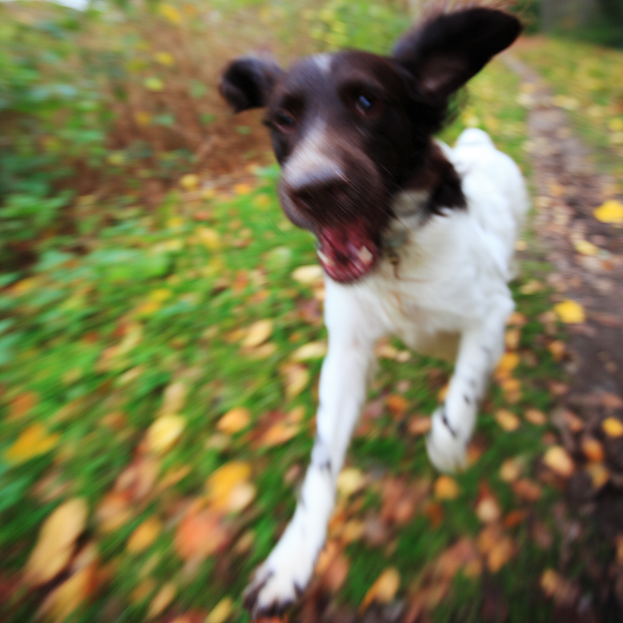 Zurck zum "Tableau der Verweigerung"