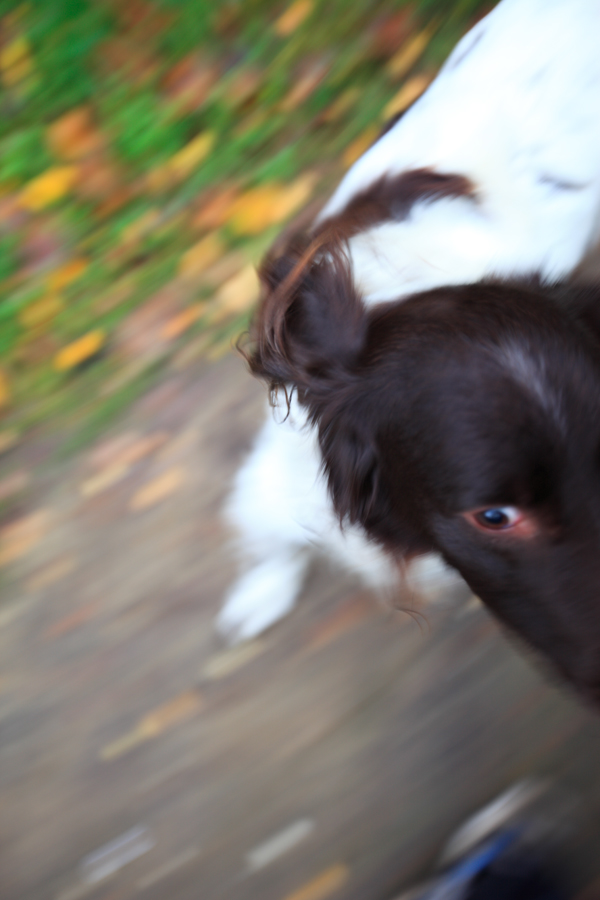 Zur�ck zum "Tableau der Verweigerung"