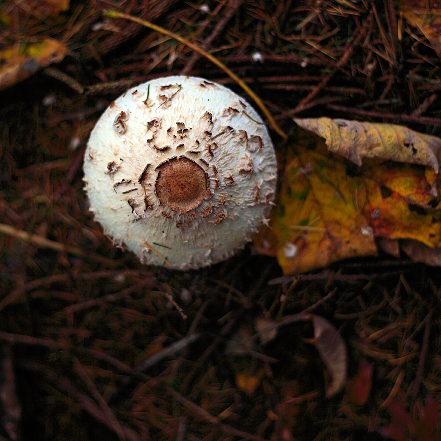 Zur�ck zur �bersicht Impressionen